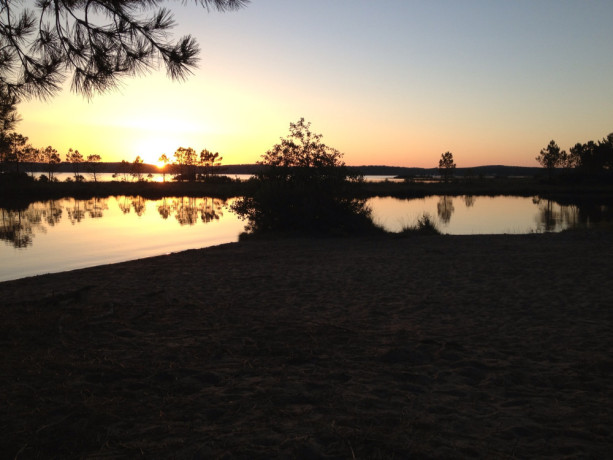 recherche-jeune-actif-big-0