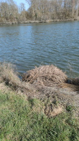 cherche-soumis-big-0