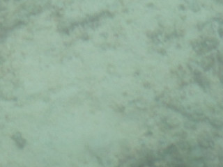 h60-ch-moments-de-plaisirs-sans-tabou