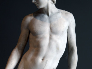 montrez-moi-tout-laissez-moi-faire