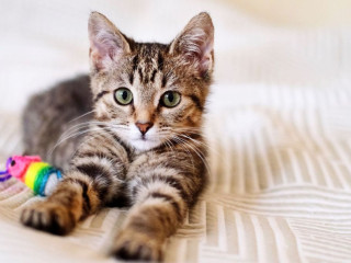 21a-sans-taboo-cherche-personne-mature