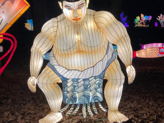 amateur-de-femme-tres-ronde