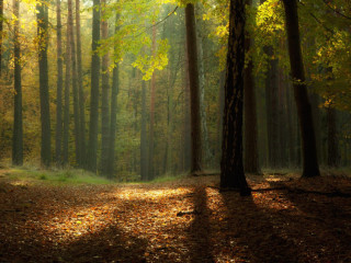 je-recherche-des-plans-le-midi