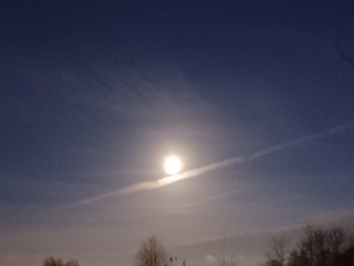 qui-veut-se-faire-sucer