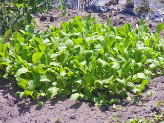 on-sest-rencontre-a-montalivet