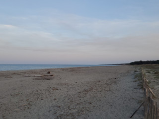 j-adore-sucer-en-mode-soumise