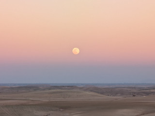 cherche-soumis-ou-couple