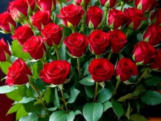 passif-de-passage-sur-riom