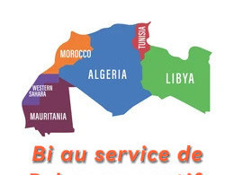 bi-au-service-de-maghrebins-mur-dominants