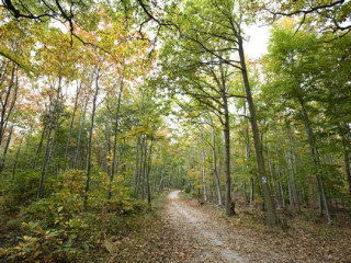 fantasmes-et-partage