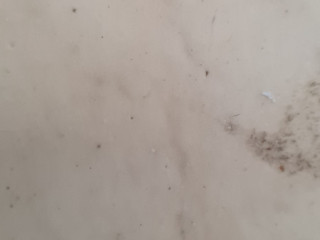 recherche-sans-emission-de-sperme