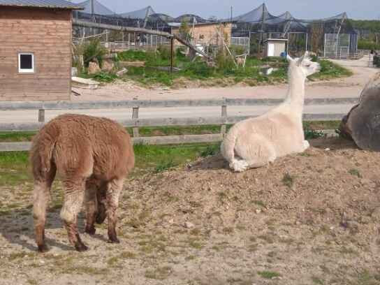 recherche-une-femme-ronde-ou-tres-ronde-serieuse-big-0