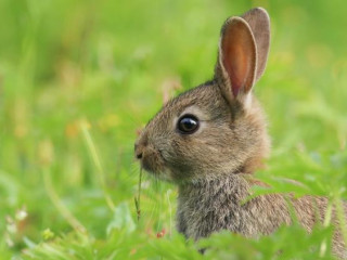 tapette-sans-tabous-a-utiliser-sans-moderation