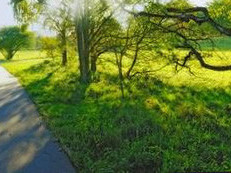 rech-mon-daddy-du-73-ancien-site