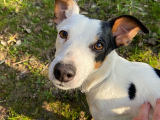 cherche-un-homme-actif