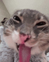 jh-passif-versailles-cherche-ancien-contact-hmur-big-0