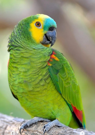 jeune-homme-pour-plaisir-partage-big-0