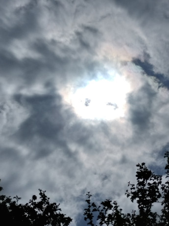 h-propose-cunni-big-0