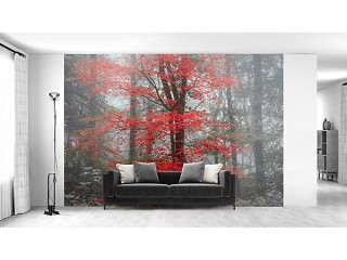 h-soumis-pour-h-dirigiste