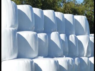 foin-naturel-de-prairies-certifie-bio-ecocert-coupe-2026-disponible-immediatement