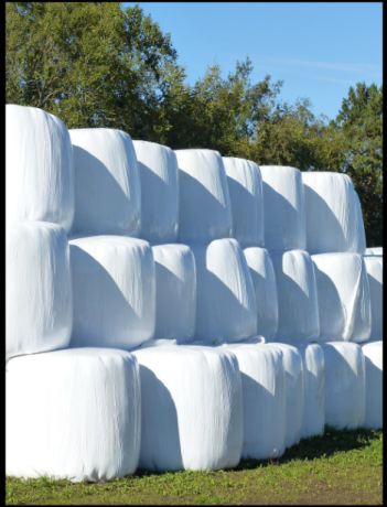 foin-naturel-de-prairies-certifie-bio-ecocert-coupe-2026-disponible-immediatement-big-0