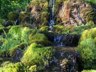 cherche-femme-seulement-pas-de-gay-ni-trav