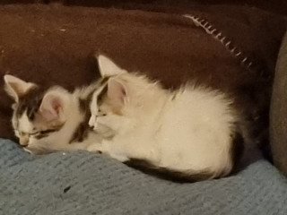 h-cherche-h-trav-couple