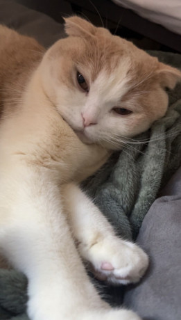 propose-services-serieux-disponible-le-week-end-big-0