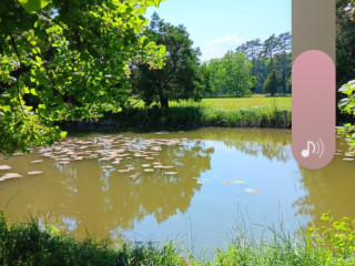 couple-recherche-couple