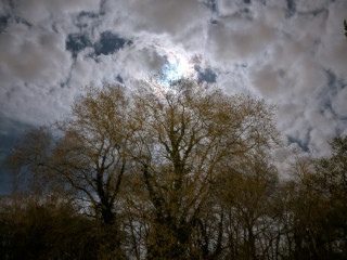 je-suce-en-voiture-ou-exterieur