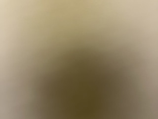 recherche-queue-a-sucer