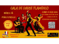 gala-flamenco-seclin-lille-2026-iberica-pena-estrella-small-0