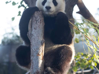 jh-passif-pour-h-ou-cpl