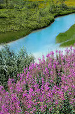 recherche-mon-daddy-big-0