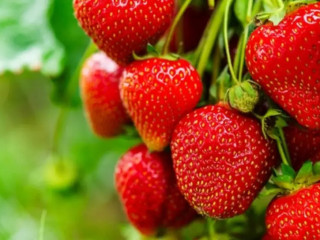 jh-45a-pour-homme-mur-coquin