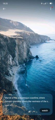 je-cherche-une-femme-big-0