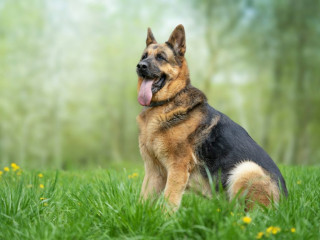 recherche-moins-de35-ans