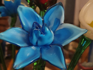 vivre-ensemble-passionnement