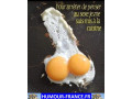recherche-passif-pour-fellation-ou-plus-small-0