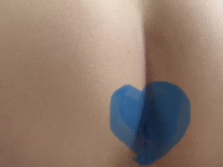amant