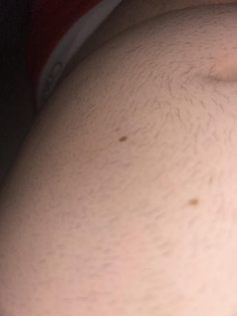 jh-25-cherche-daddy-bear-big-0