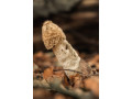 recherche-inhabituelle-small-0