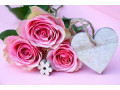 recherche-homme-passif-pour-plan-suivi-small-0