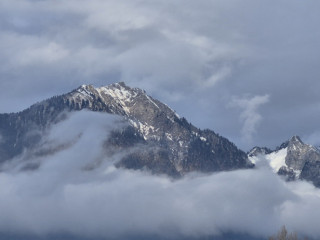 cherche-pieds-de-mec