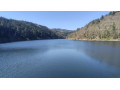 recherche-trans-ou-trav-small-0