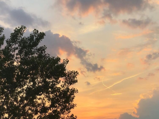 bon-pompeur-bon-boule