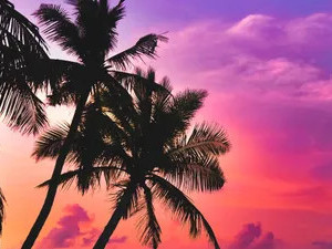 moments-de-plaisirs-partages