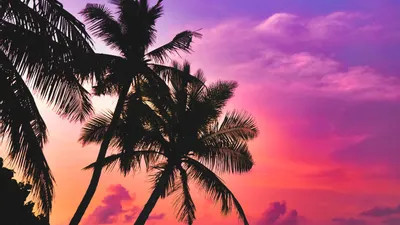 moments-de-plaisirs-partages-big-0
