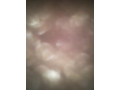 cherche-femme-pour-masturbation-small-0