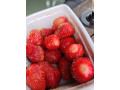 plaisir-partage-small-0